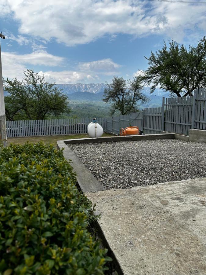 Villa Prater House Mountain View à Moieciu de Jos Extérieur photo