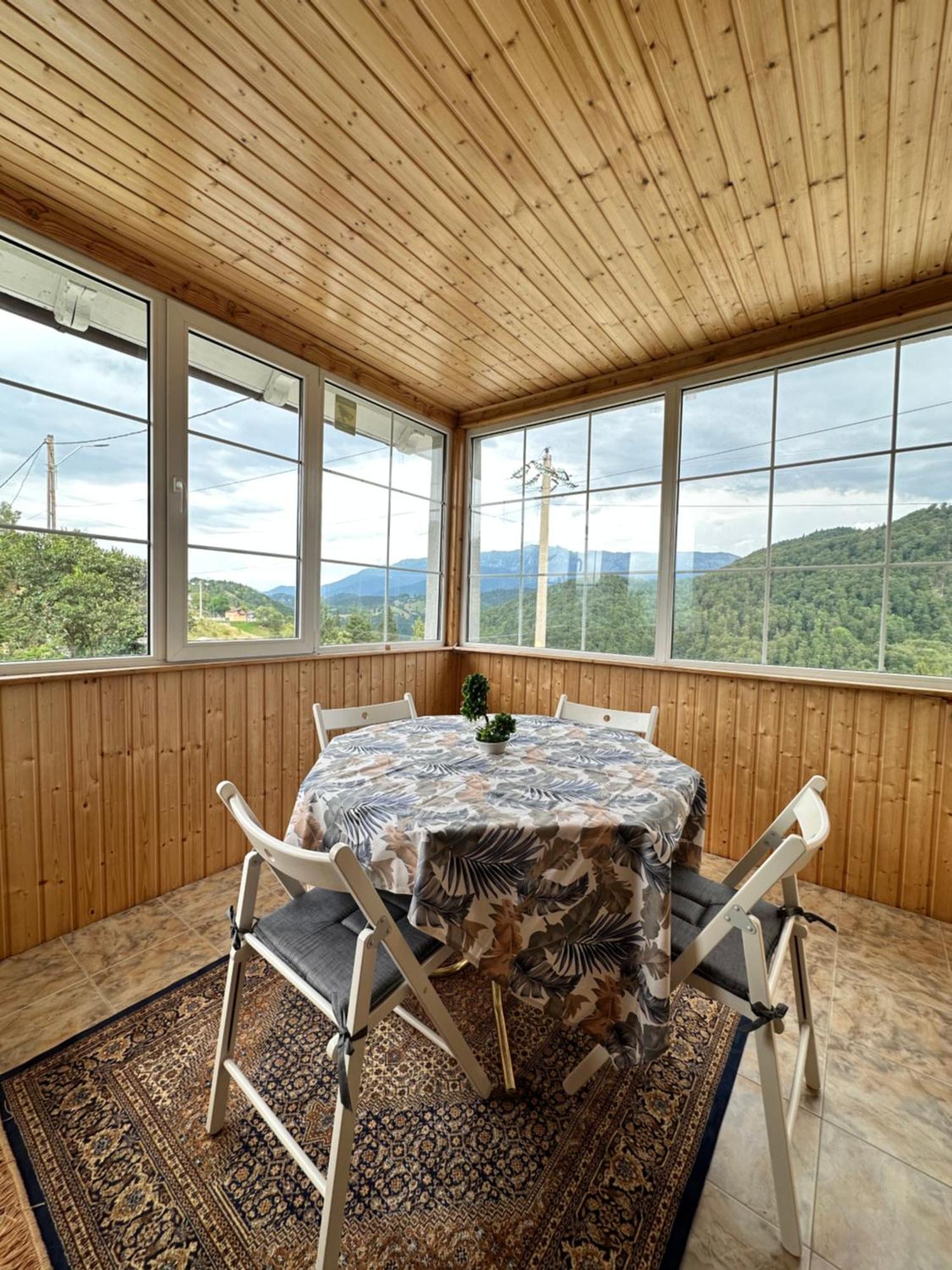 Villa Prater House Mountain View à Moieciu de Jos Extérieur photo